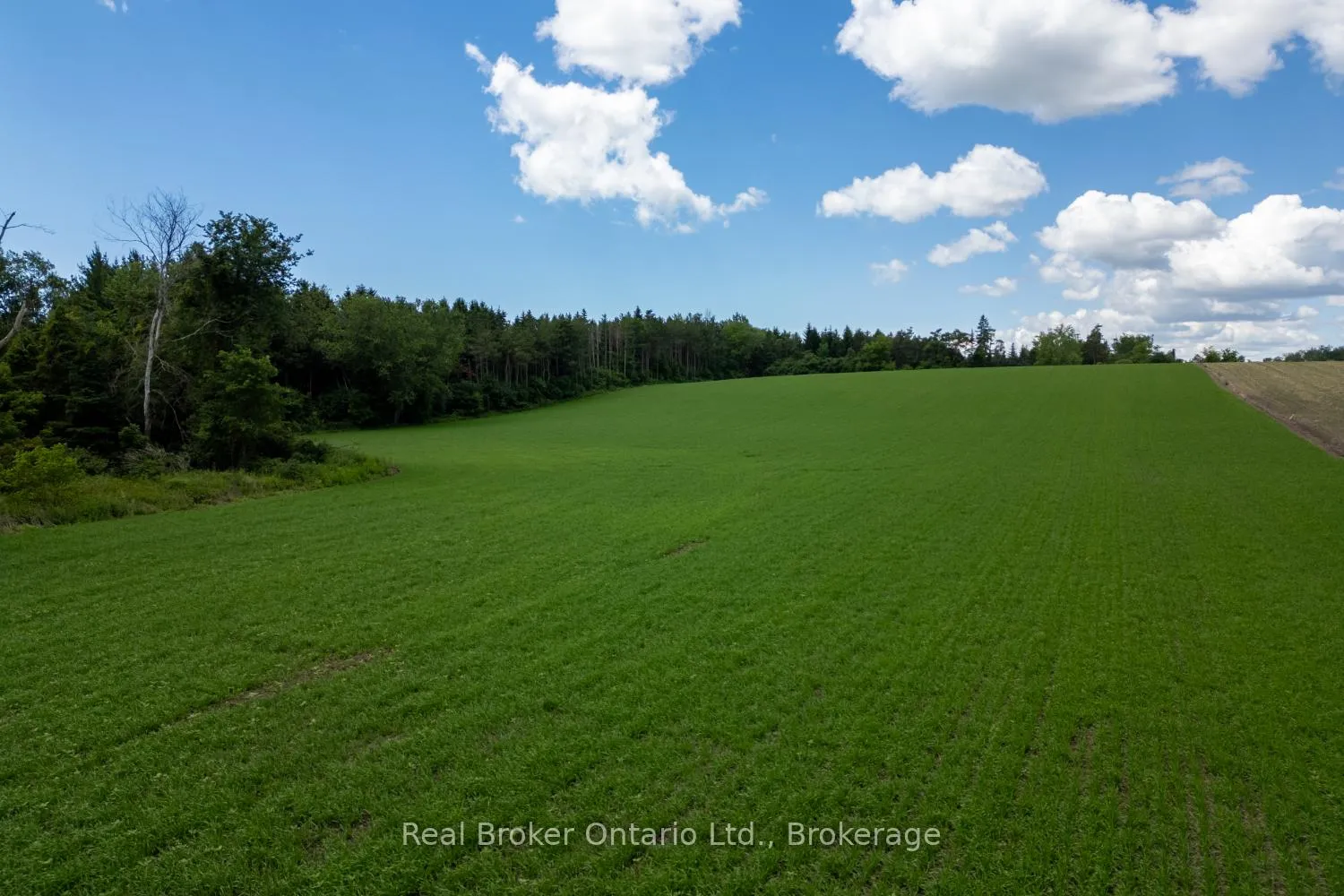 Photo 23 of 4206 Middle Road, Clarington, Rural Clarington — HOMEH