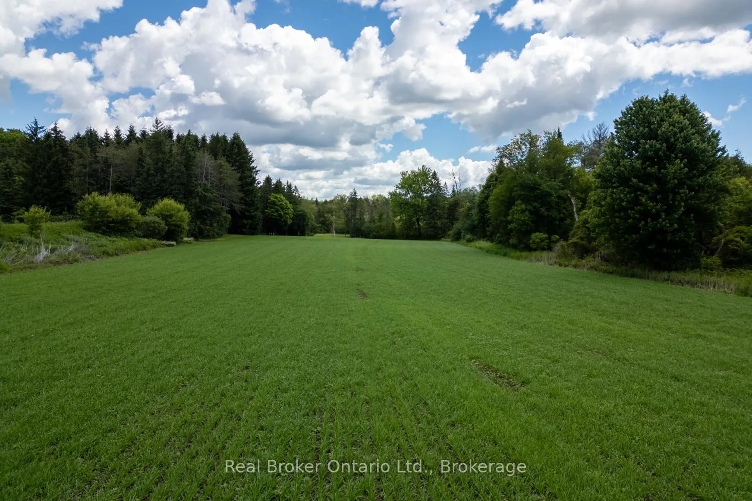 Photo 24 of 4206 Middle Road, Clarington, Rural Clarington — HOMEH