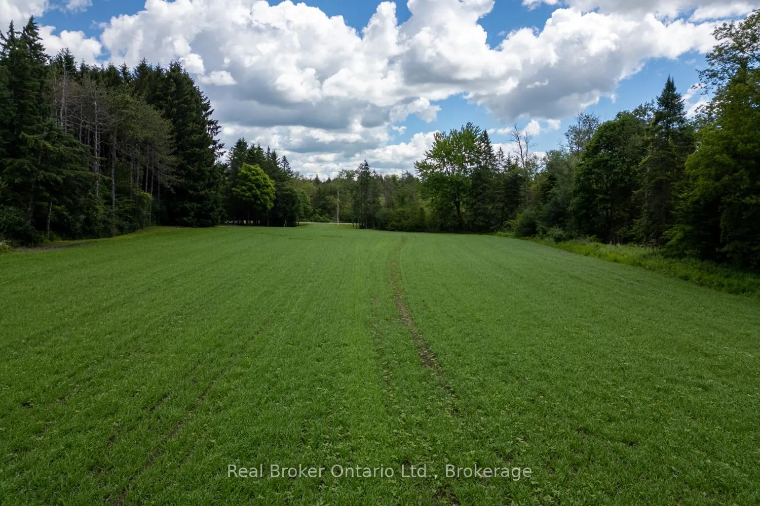 Photo 25 of 4206 Middle Road, Clarington, Rural Clarington — HOMEH