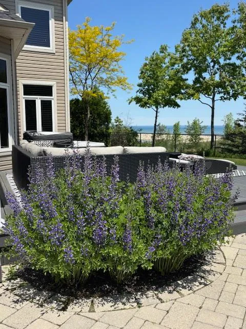 Photo 49 of 42 Silver Crescent, Collingwood — HOMEH