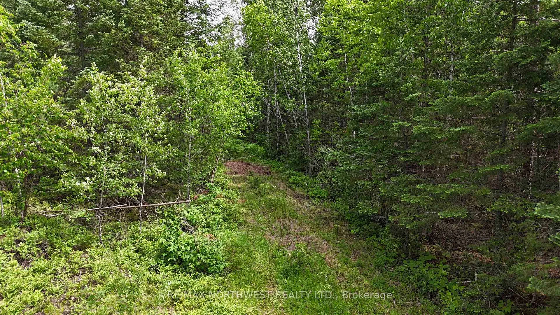 Photo 34 of 242 Longbow Lake Road, Kenora Remote Area, East Of Kenora — HOMEH