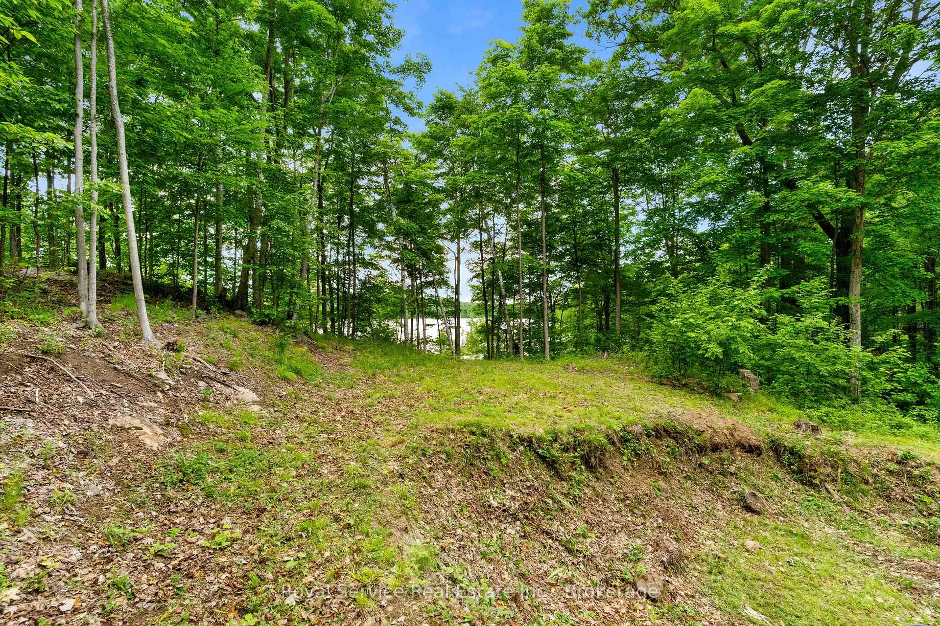 Photo 7 of 1314 Guigue Road, Frontenac, Frontenac Centre — HOMEH