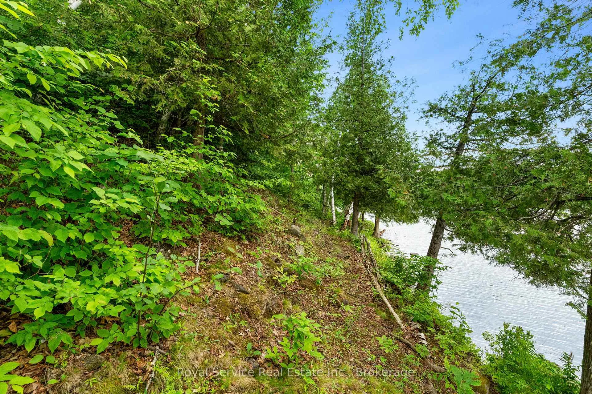 Photo 16 of 1314 Guigue Road, Frontenac, Frontenac Centre — HOMEH