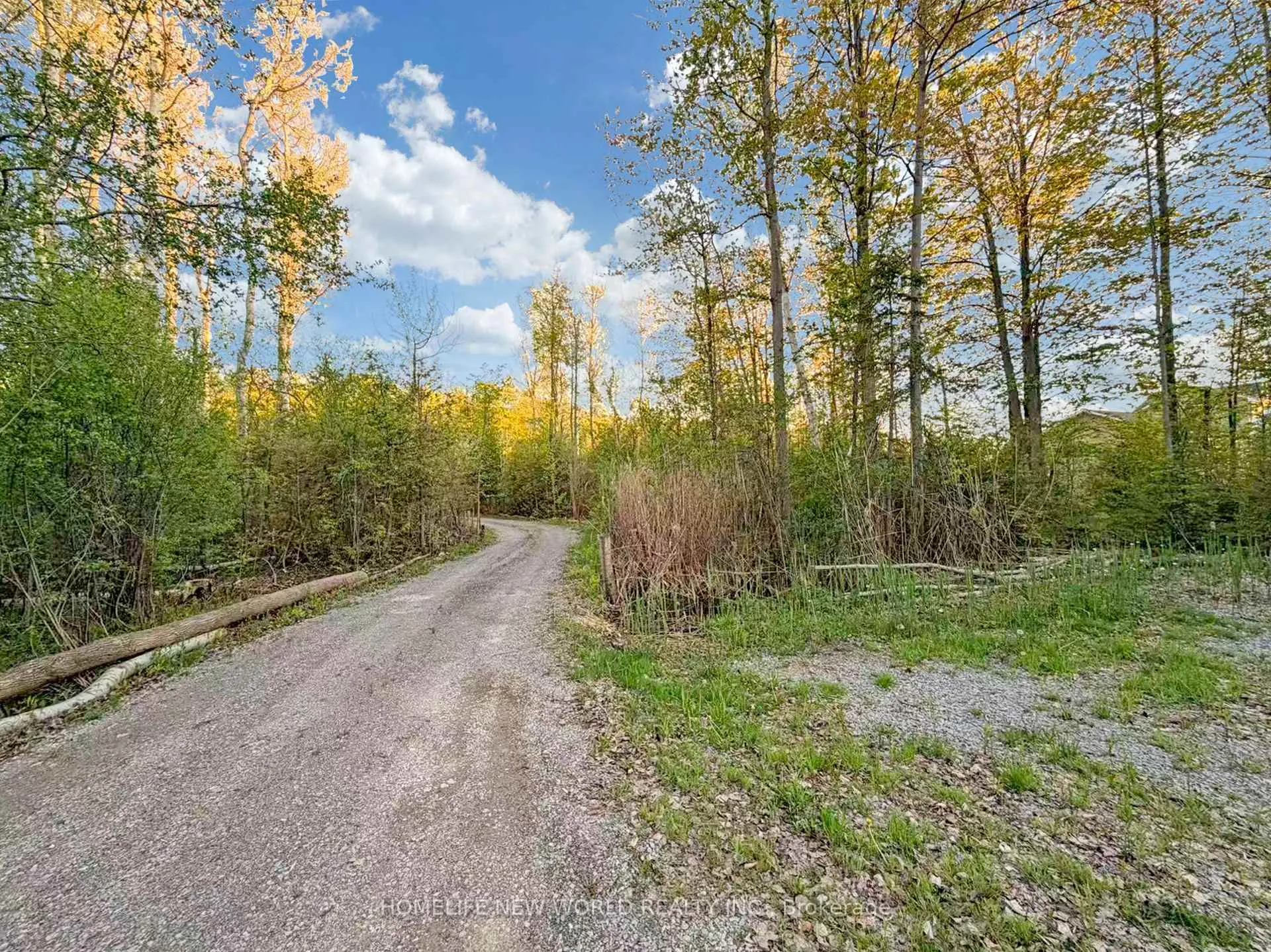 Photo 28 of 3370 Ravenshoe Road, Georgina, Keswick South — HOMEH