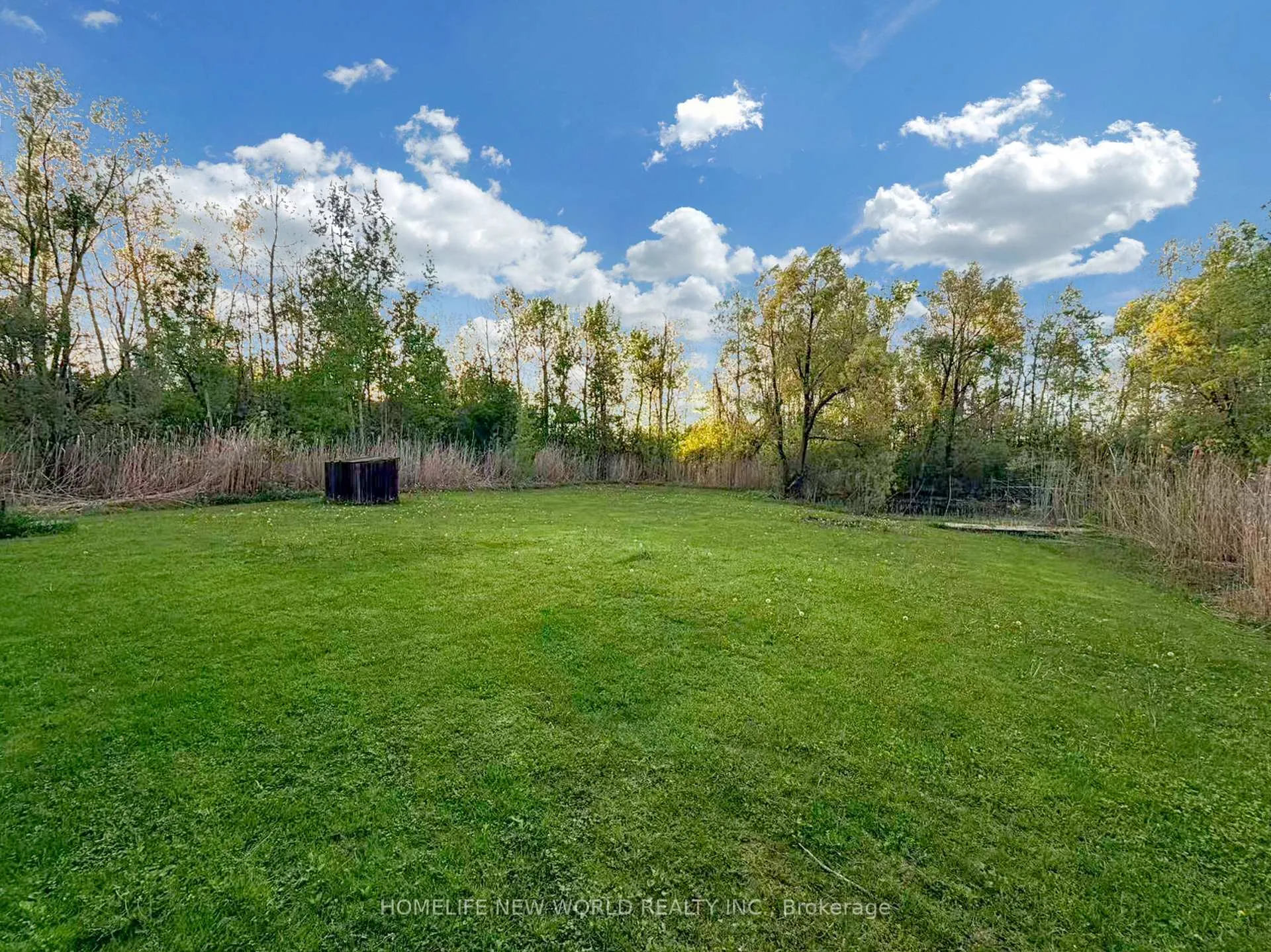 Photo 29 of 3370 Ravenshoe Road, Georgina, Keswick South — HOMEH