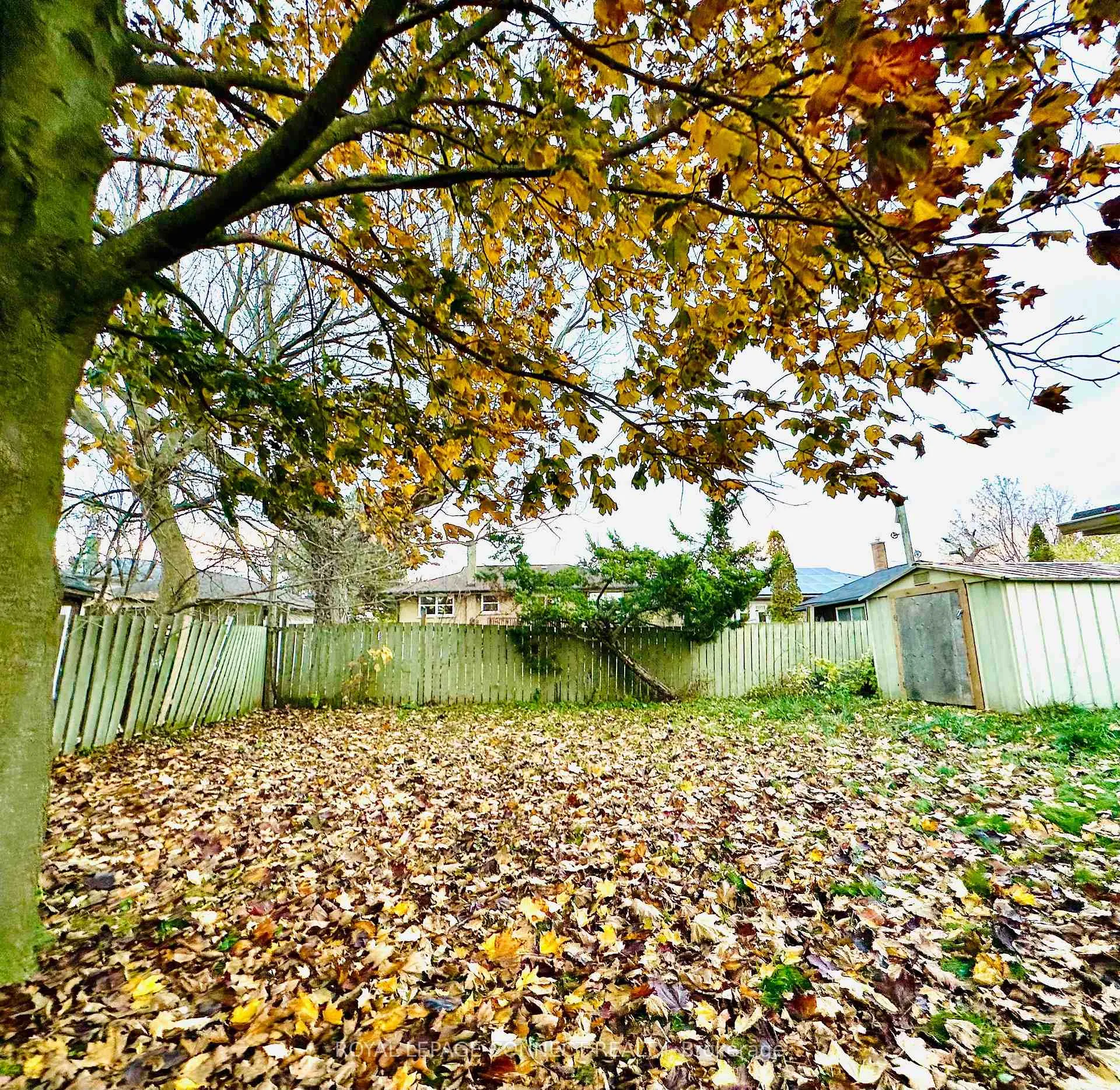 Photo 25 of Unit Lower, 300 Banff Avenue, Oshawa, Lakeview — HOMEH