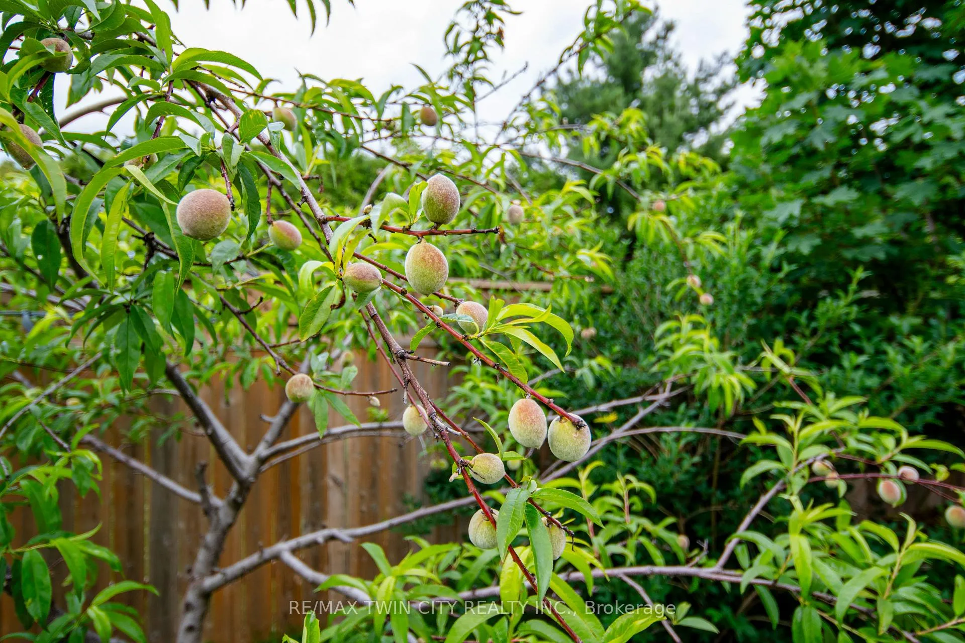 Photo 40 of 82 Rowe Avenue, South Huron, Exeter — HOMEH