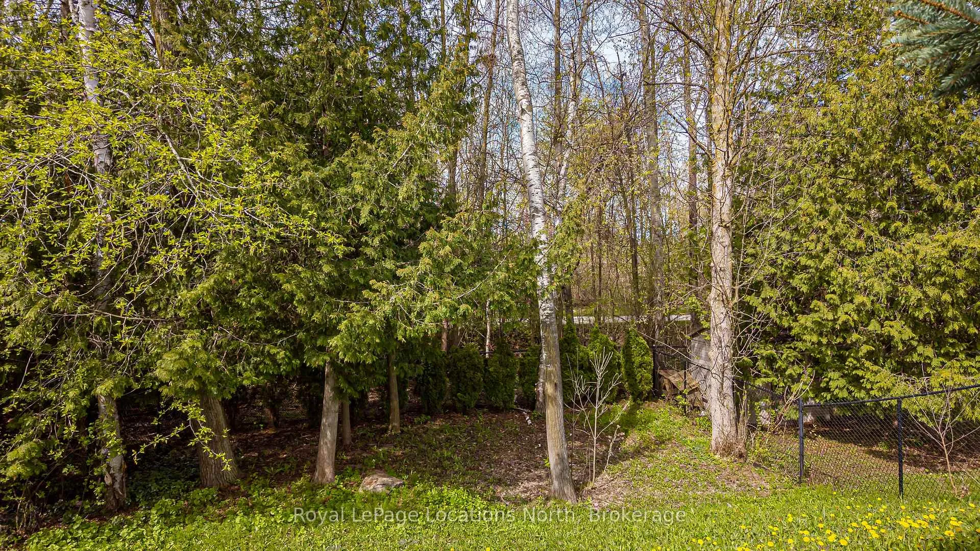 Photo 42 of 6 Williams Street, Collingwood — HOMEH