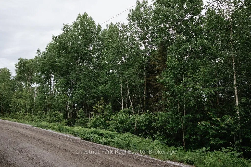 Photo 5 of 447 Fox Run, Temagami — HOMEH