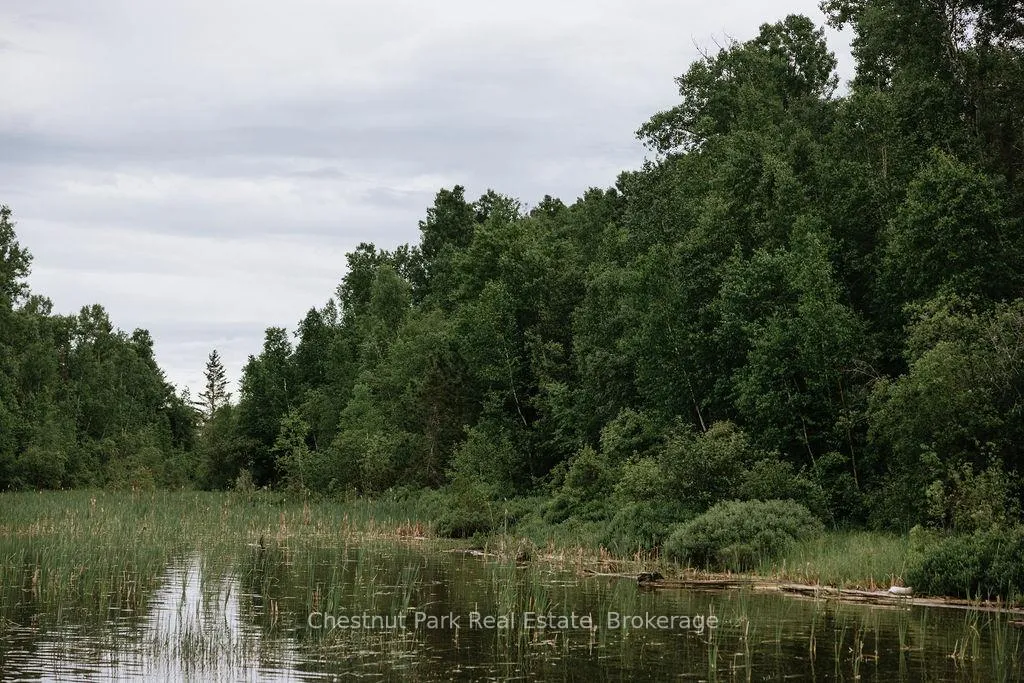 Photo 8 of 447 Fox Run, Temagami — HOMEH