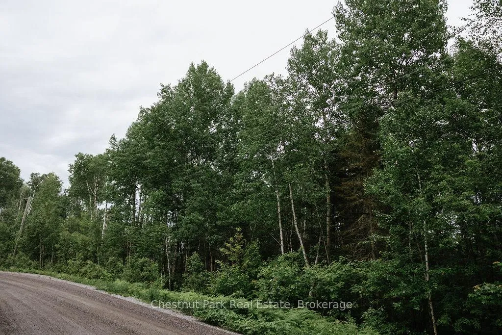 Photo 13 of 447 Fox Run, Temagami — HOMEH