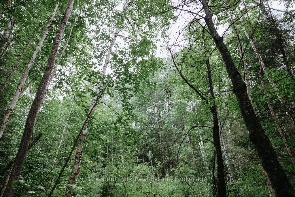 Photo 16 of 447 Fox Run, Temagami — HOMEH