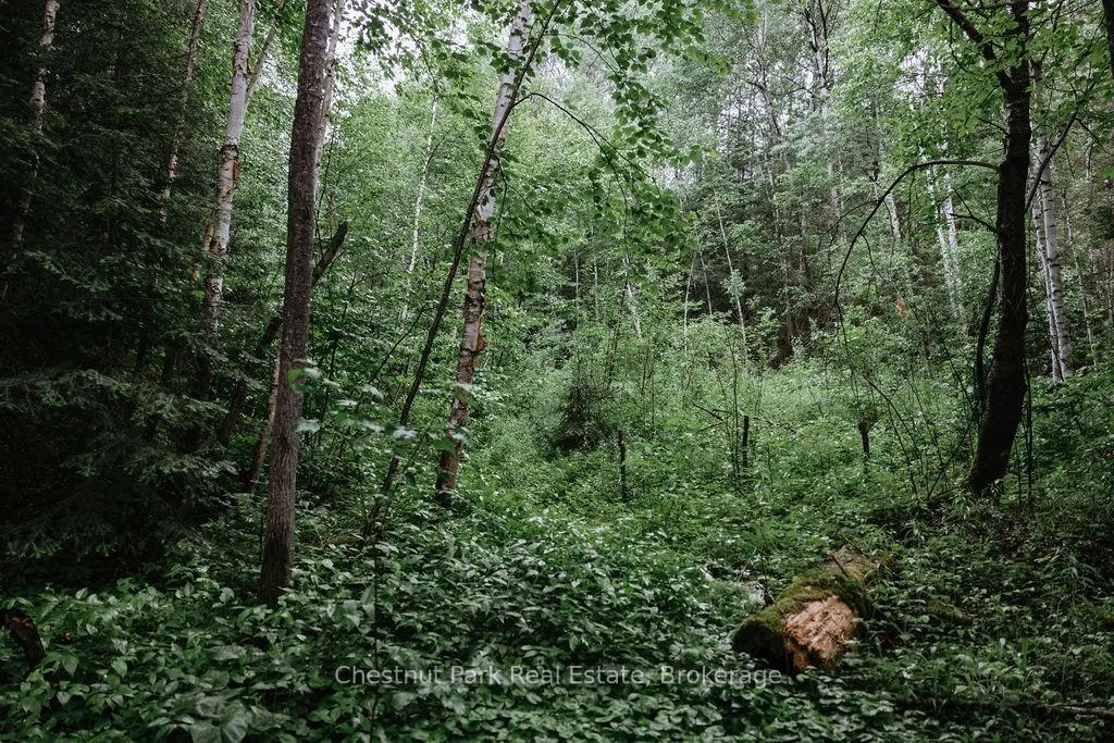 Photo 20 of 447 Fox Run, Temagami — HOMEH
