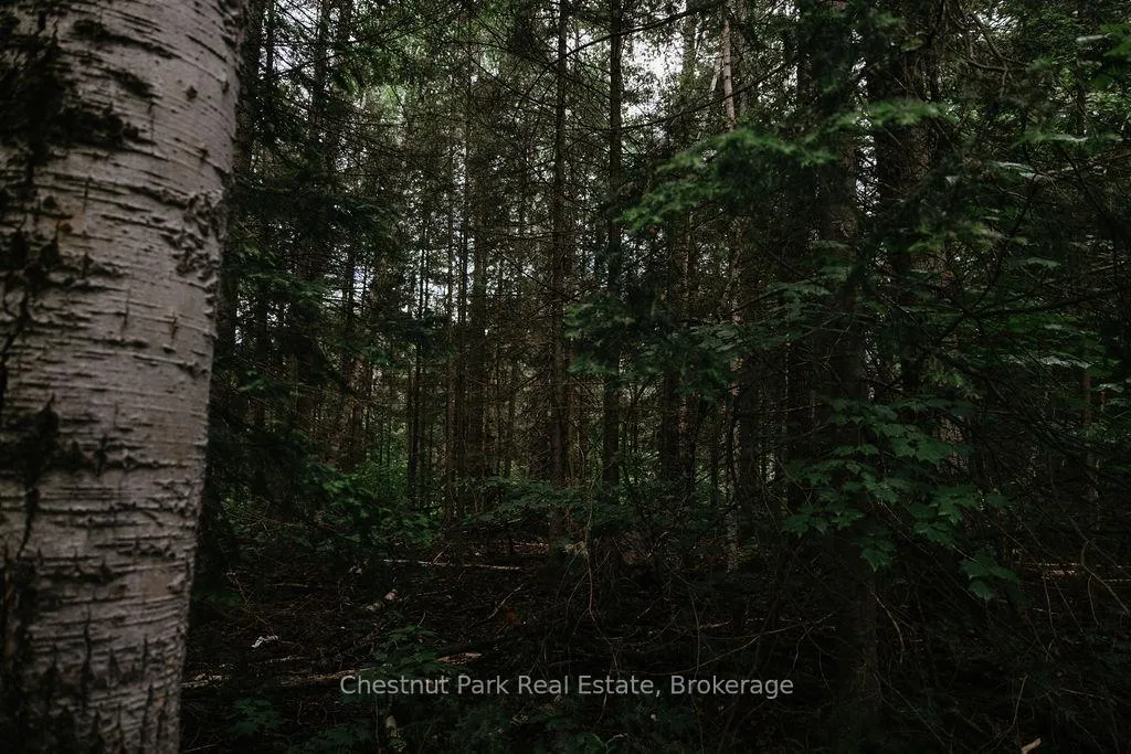Photo 21 of 447 Fox Run, Temagami — HOMEH