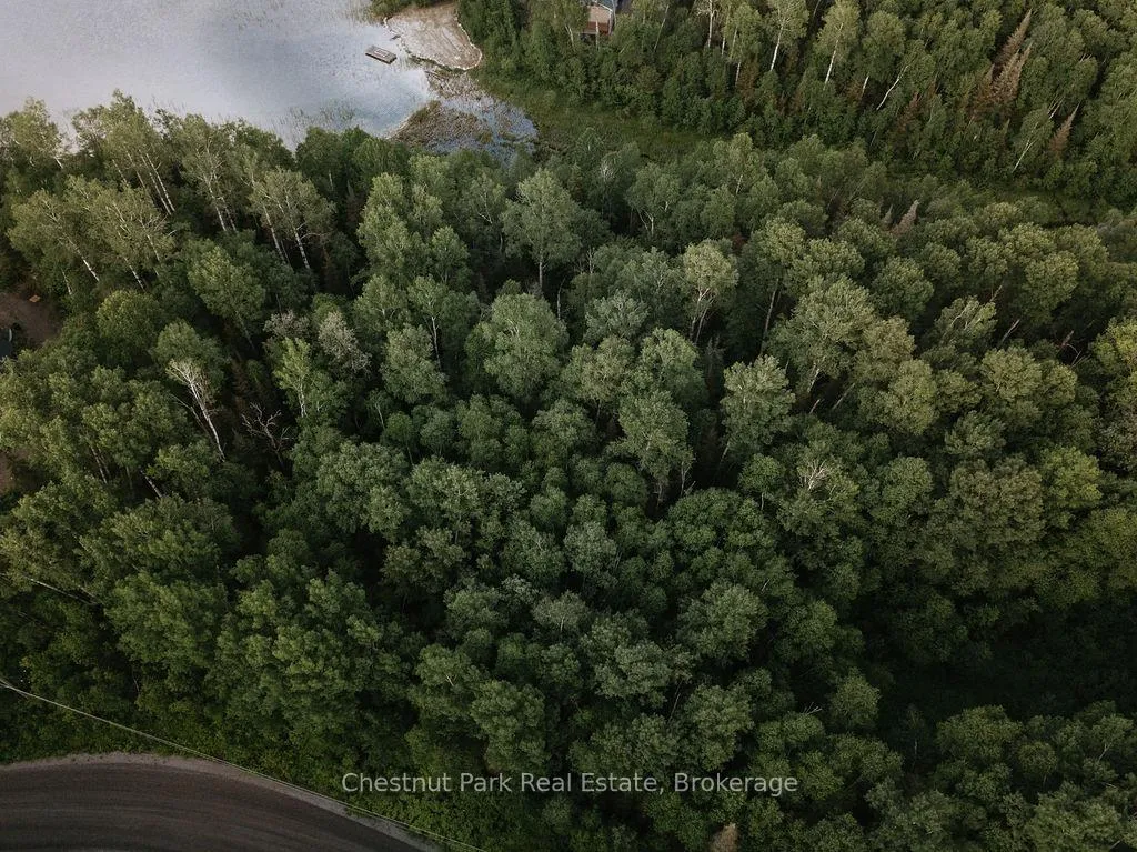 Photo 22 of 447 Fox Run, Temagami — HOMEH
