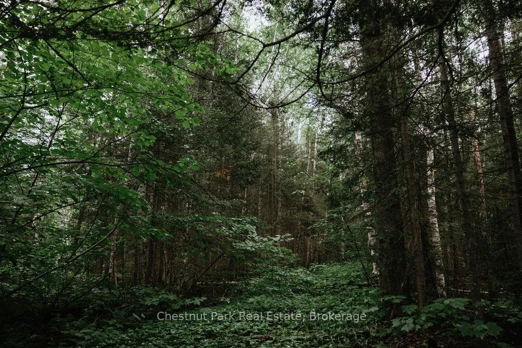 Photo 23 of 447 Fox Run, Temagami — HOMEH