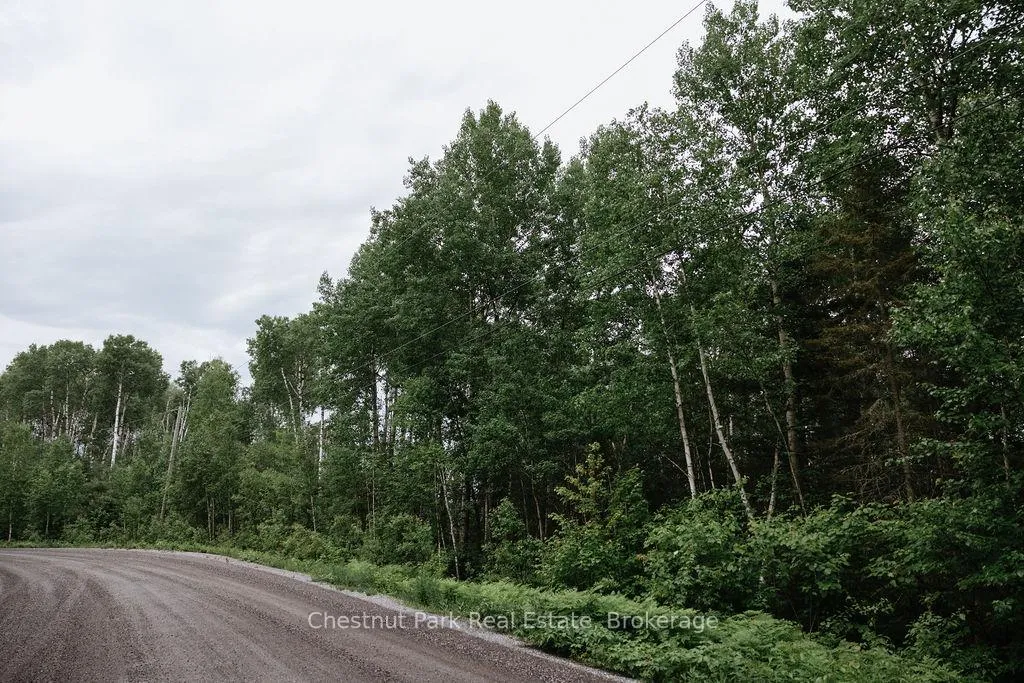 Photo 27 of 447 Fox Run, Temagami — HOMEH