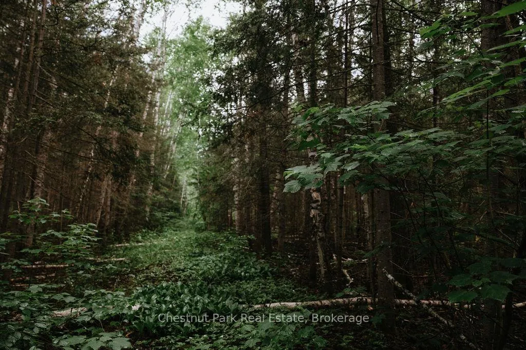 Photo 29 of 447 Fox Run, Temagami — HOMEH
