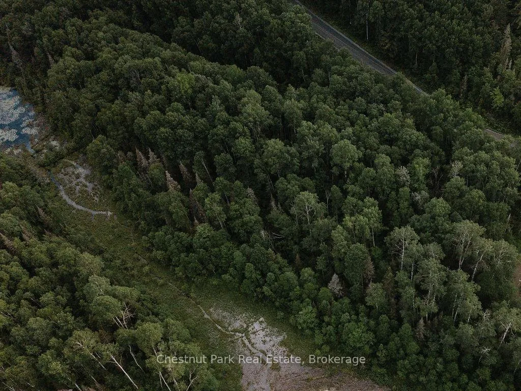 Photo 36 of 447 Fox Run, Temagami — HOMEH