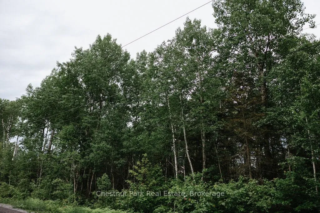 Photo 38 of 447 Fox Run, Temagami — HOMEH