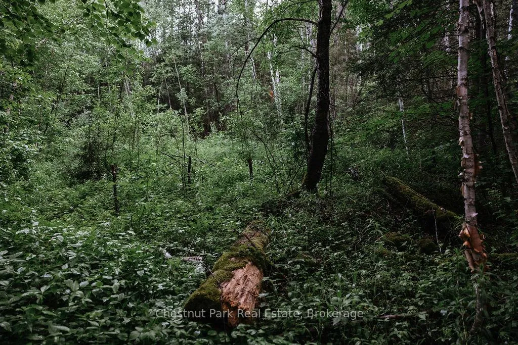 Photo 39 of 447 Fox Run, Temagami — HOMEH