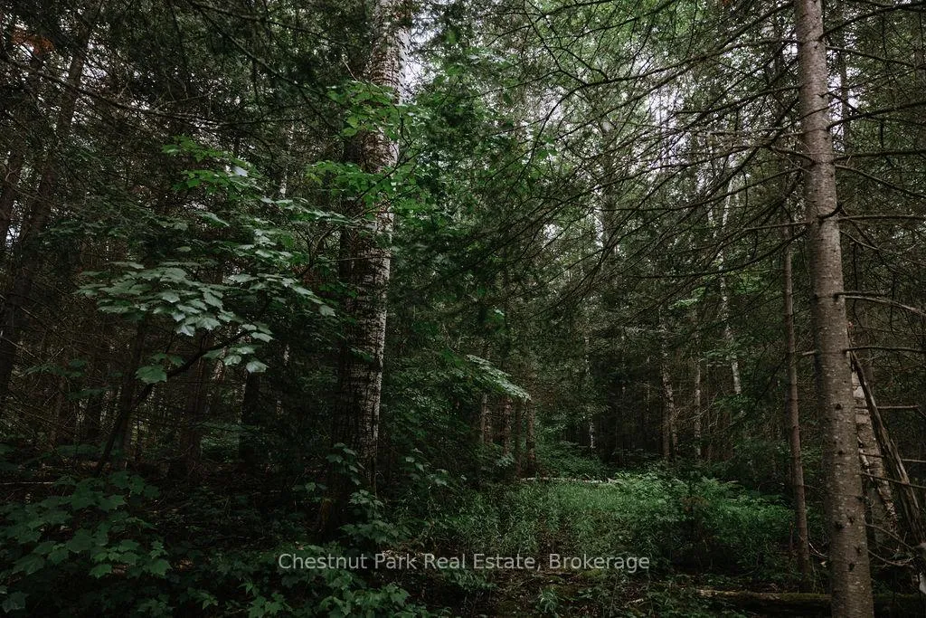 Photo 46 of 447 Fox Run, Temagami — HOMEH