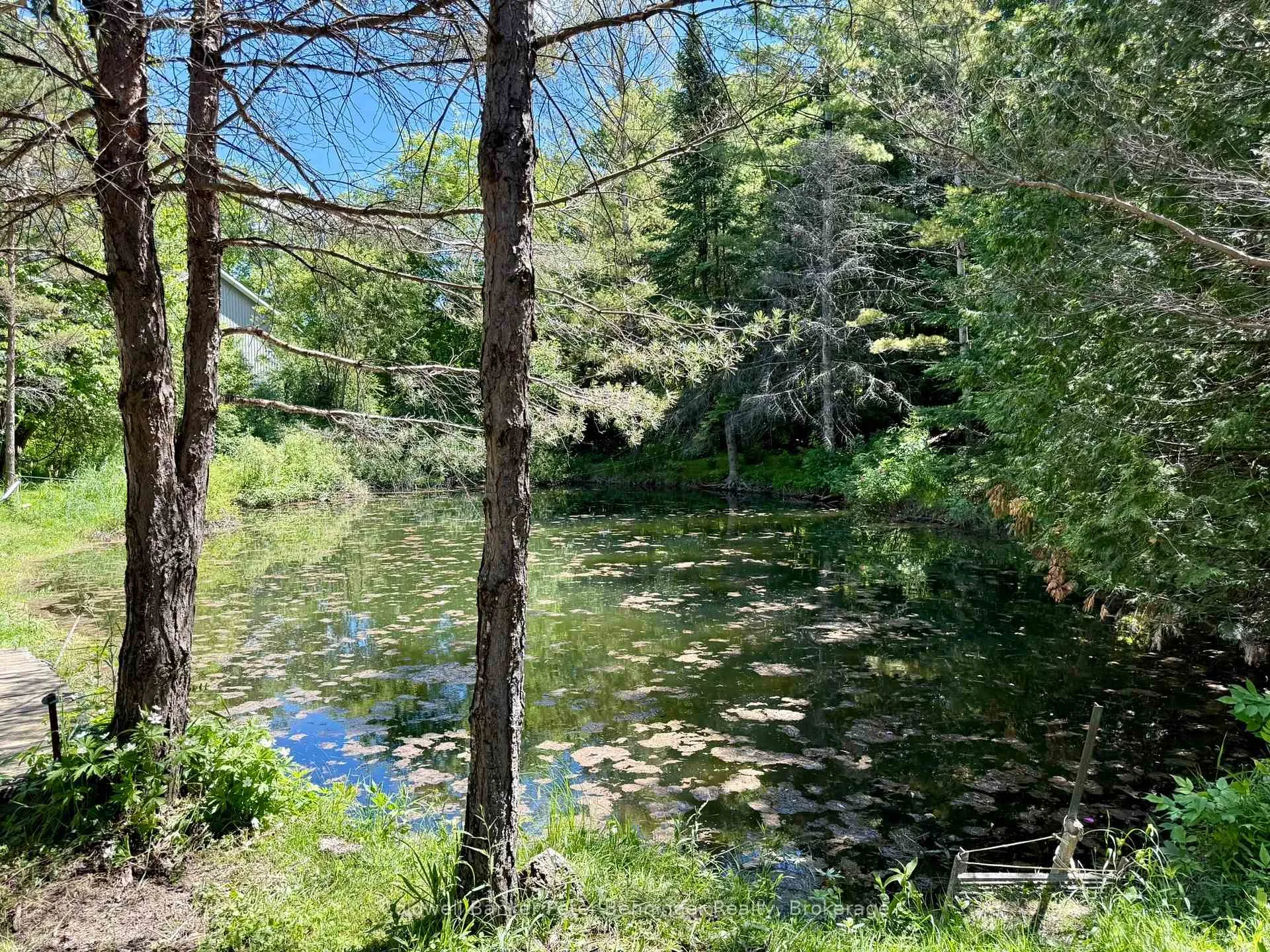 Photo 18 of 157 Anderson Drive, West Grey — HOMEH