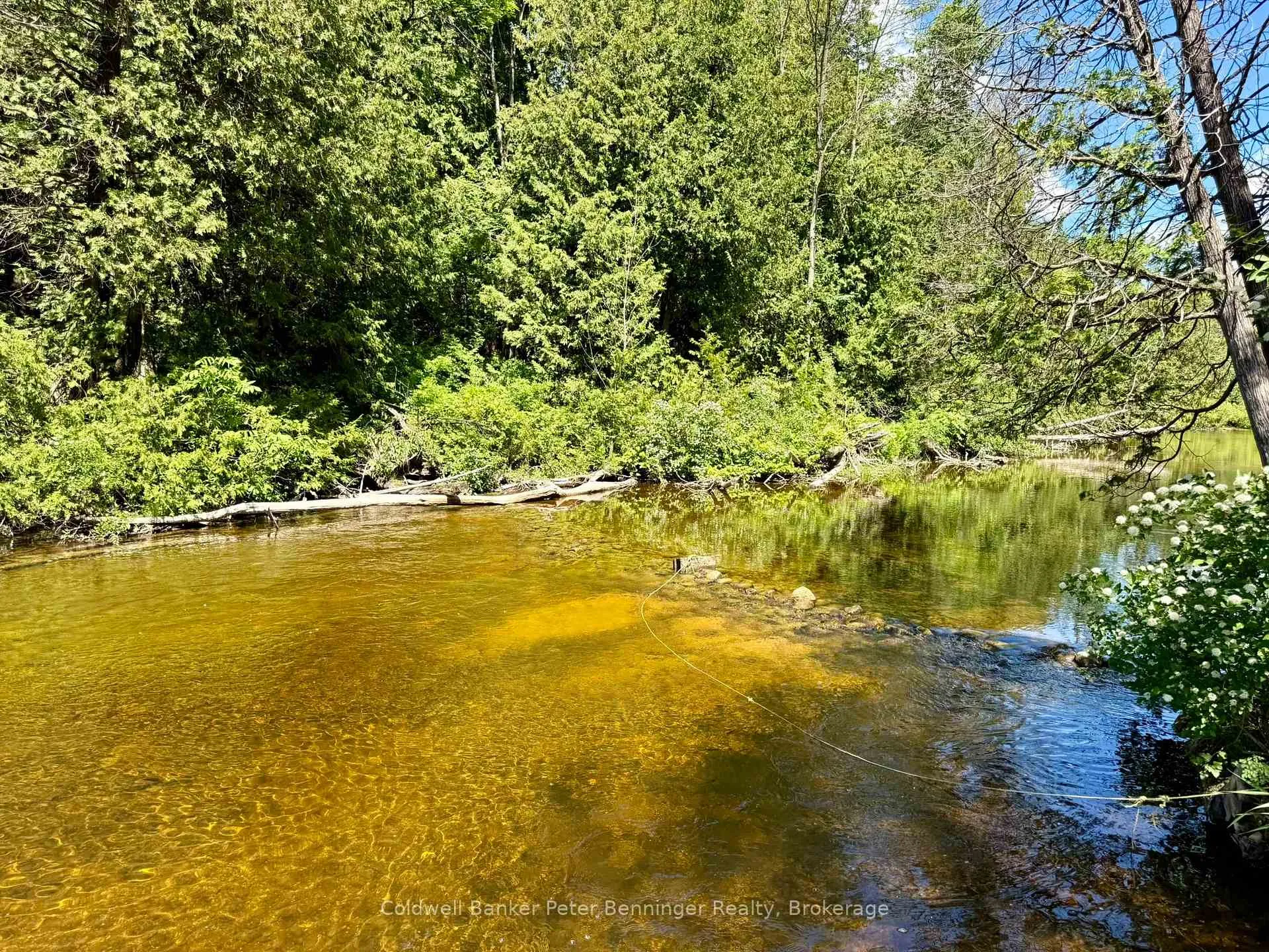 Photo 21 of 157 Anderson Drive, West Grey — HOMEH