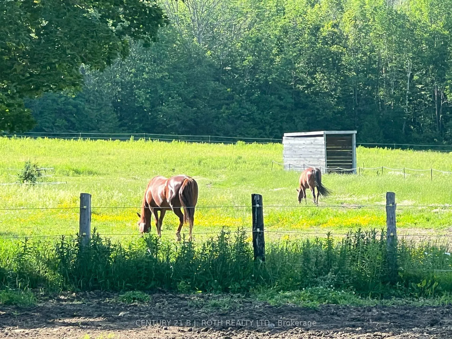 Photo 2 of 2266 Foxmead Road, Oro-Medonte, Rural Oro-Medonte — HOMEH