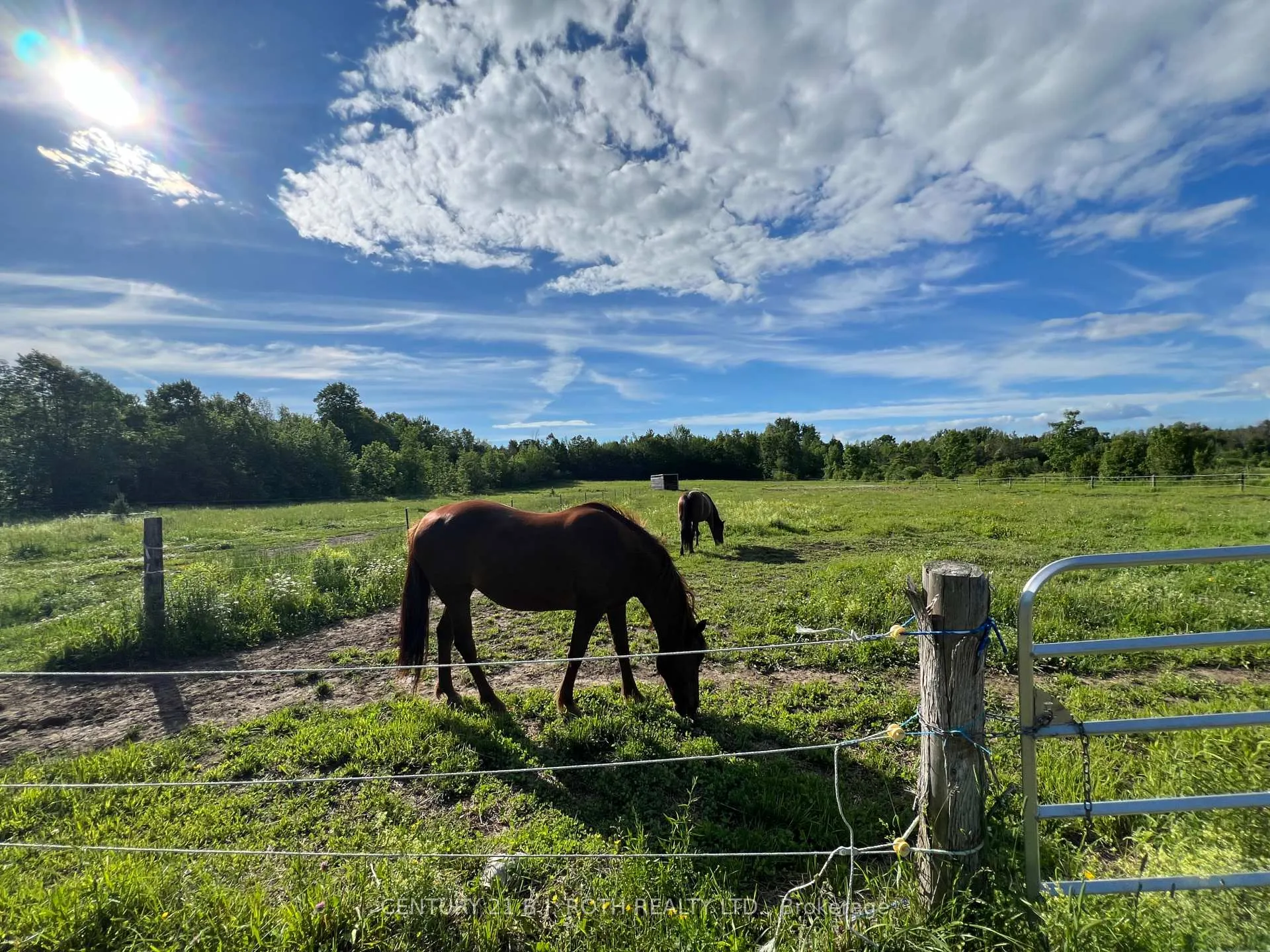Photo 3 of 2266 Foxmead Road, Oro-Medonte, Rural Oro-Medonte — HOMEH