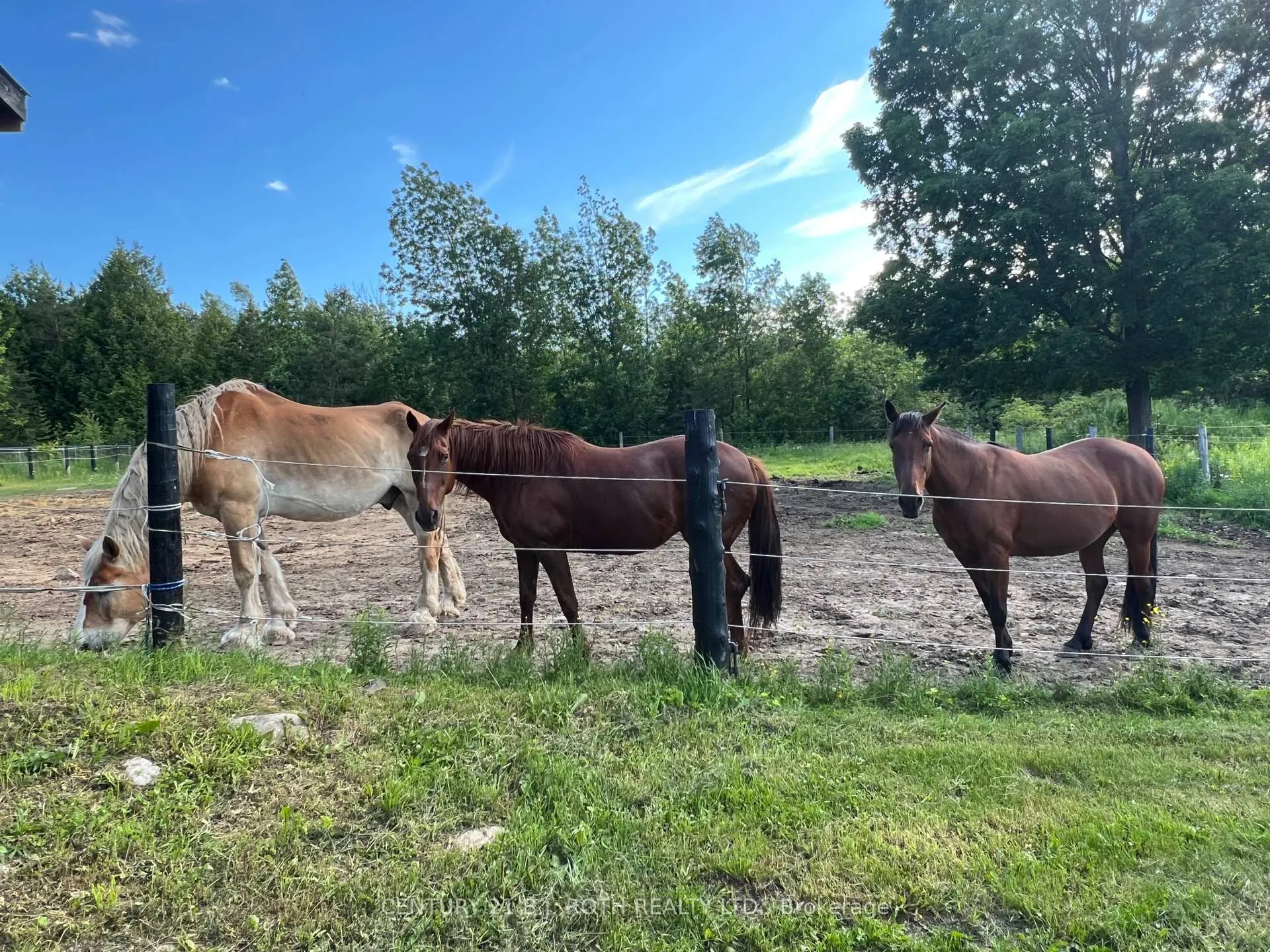 Photo 11 of 2266 Foxmead Road, Oro-Medonte, Rural Oro-Medonte — HOMEH