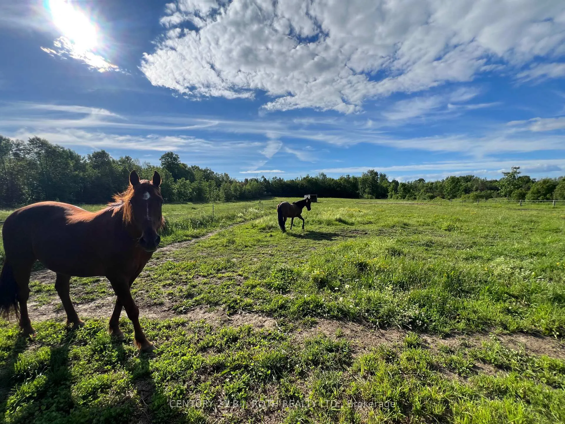 Photo 39 of 2266 Foxmead Road, Oro-Medonte, Rural Oro-Medonte — HOMEH