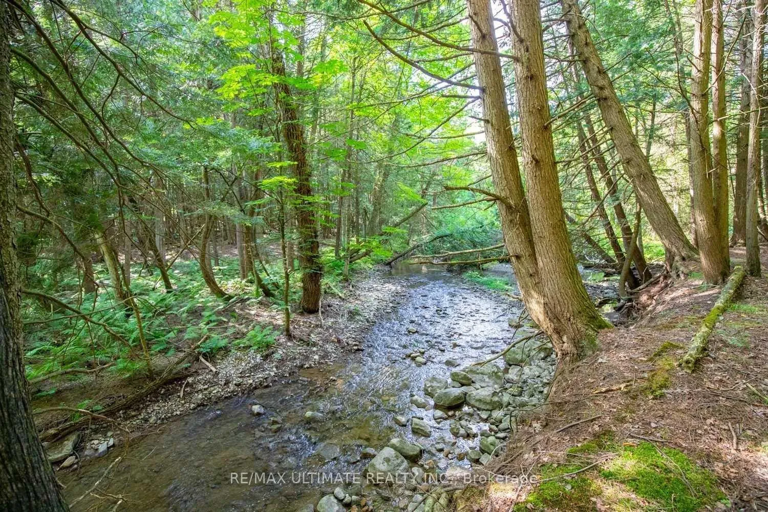 Photo 37 of 6472 Country Lane, Whitby, Rural Whitby — HOMEH