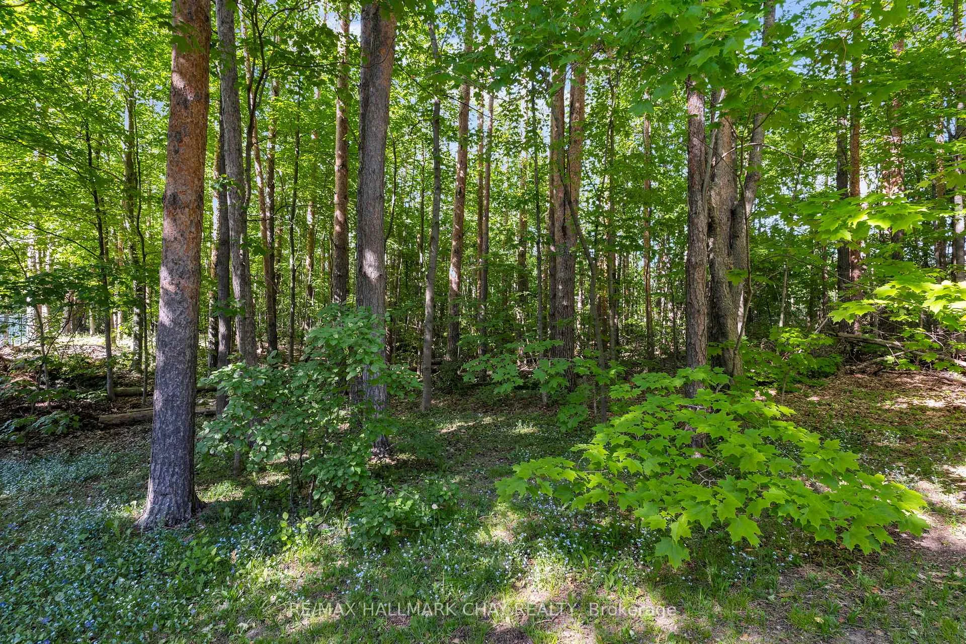 Photo 34 of 3724 Whitecap Drive, Innisfil, Rural Innisfil — HOMEH