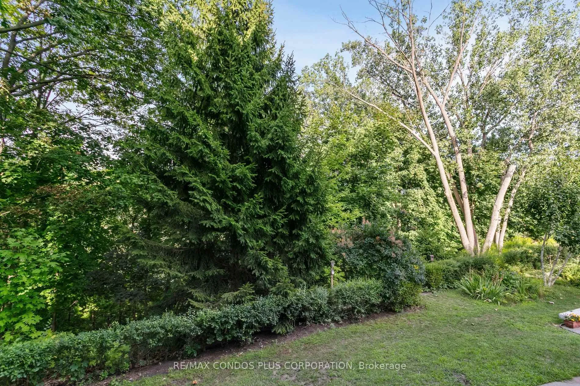 Photo 49 of Unit 101, 185 Stephen Drive, Etobicoke, Stonegate-Queensway — HOMEH