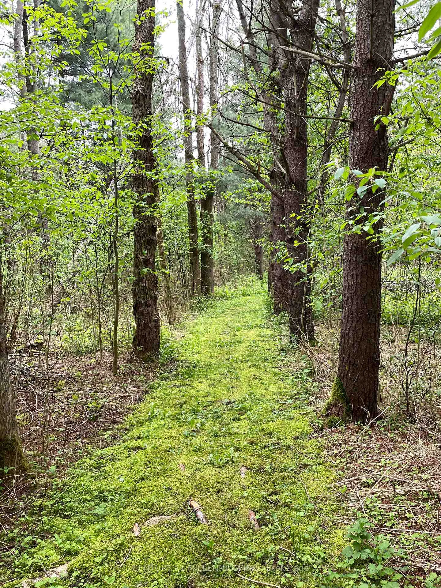 Photo 43 of 597334 2nd Line W, Mulmur, Rural Mulmur — HOMEH