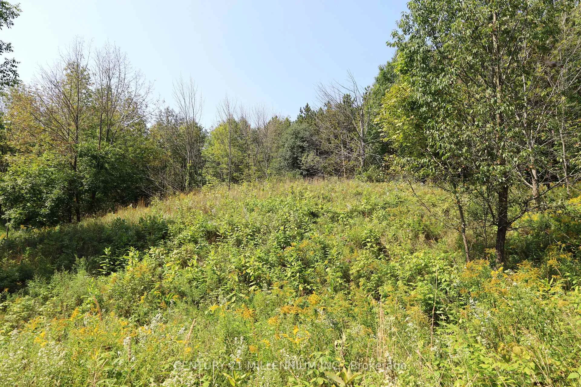 Photo 3 of 597334 2nd Line W, Mulmur, Rural Mulmur — HOMEH