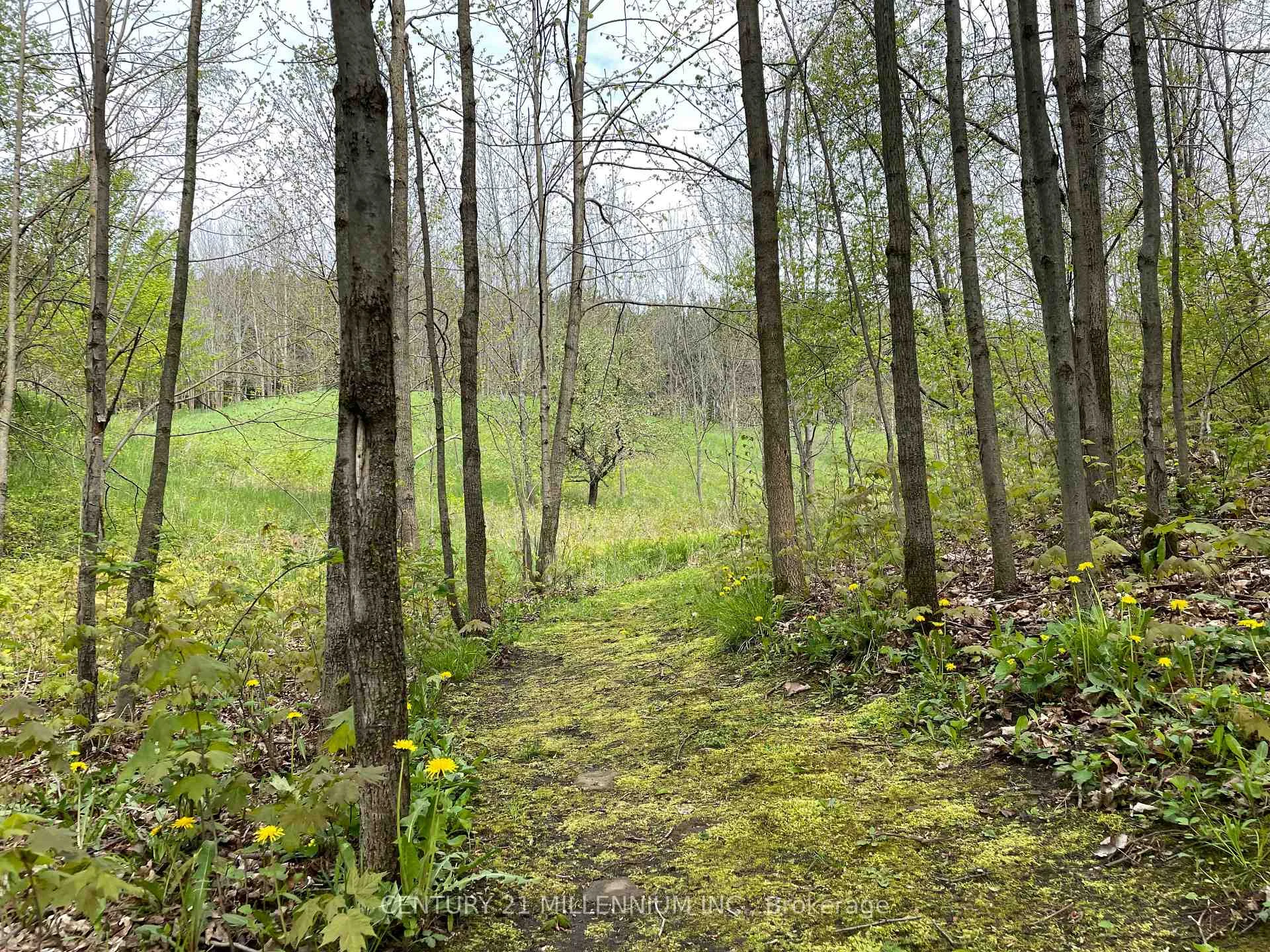 Photo 51 of 597334 2nd Line W, Mulmur, Rural Mulmur — HOMEH