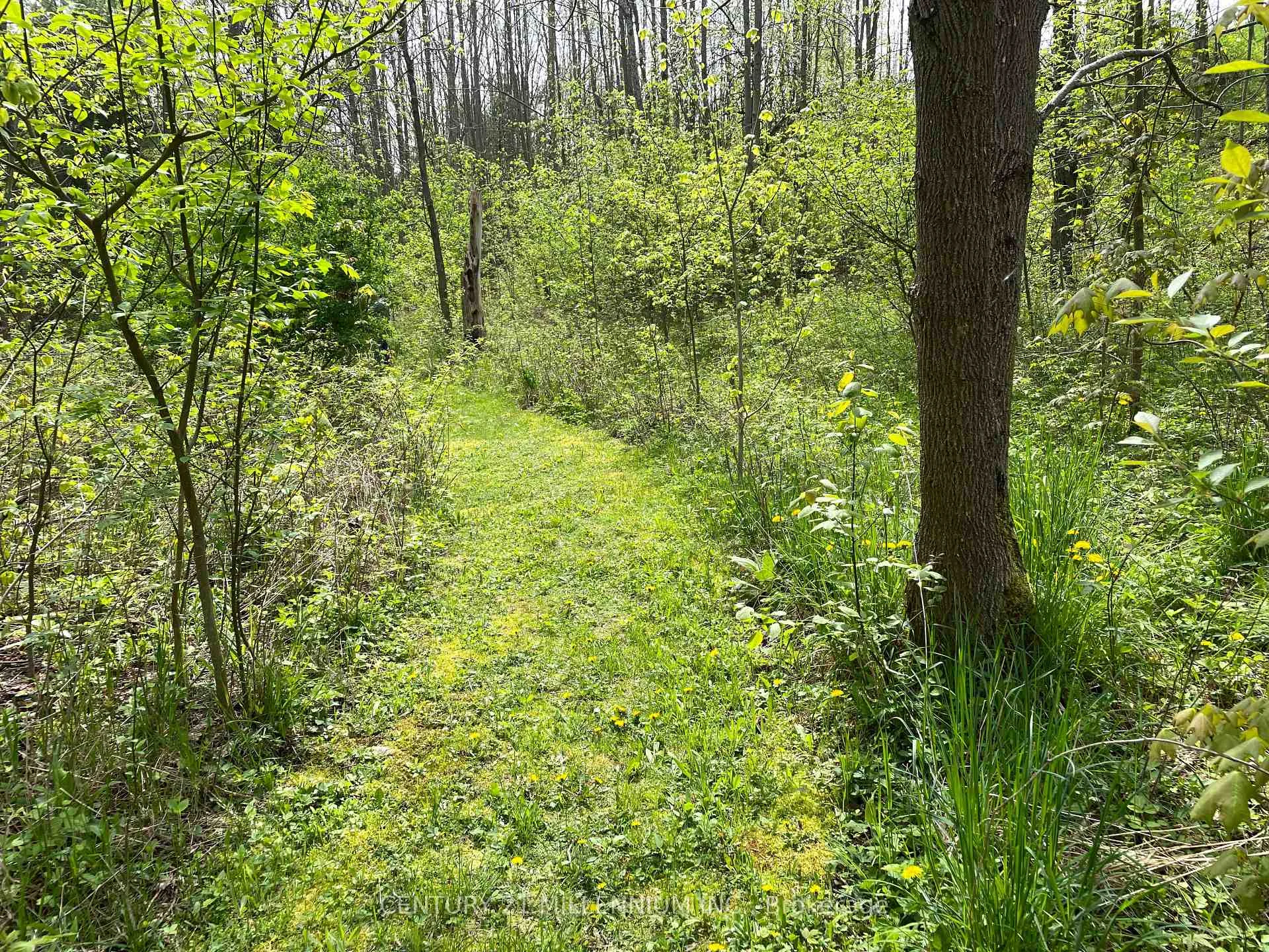 Photo 52 of 597334 2nd Line W, Mulmur, Rural Mulmur — HOMEH