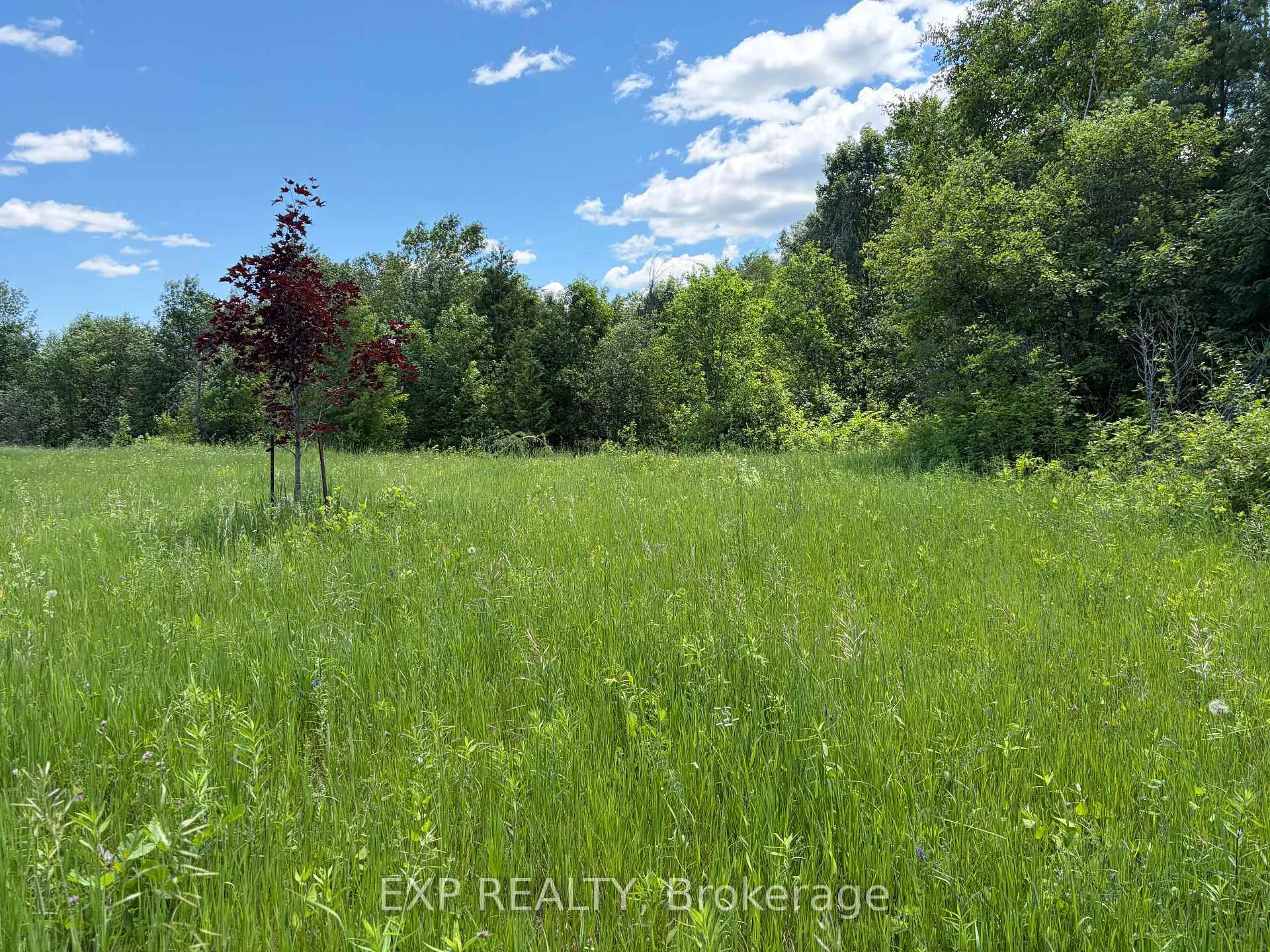 Photo 3 of 151 Chris Ruddy Road, Admaston/Bromley, Admaston/Bromley — HOMEH