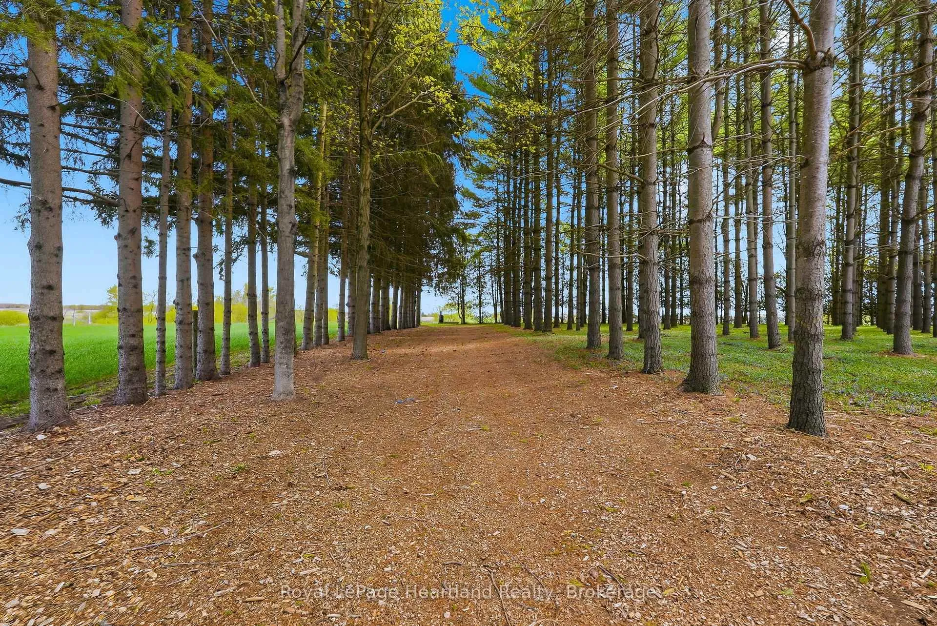 Photo 36 of 42148 Salem Road, Morris Turnberry, Turnberry — HOMEH