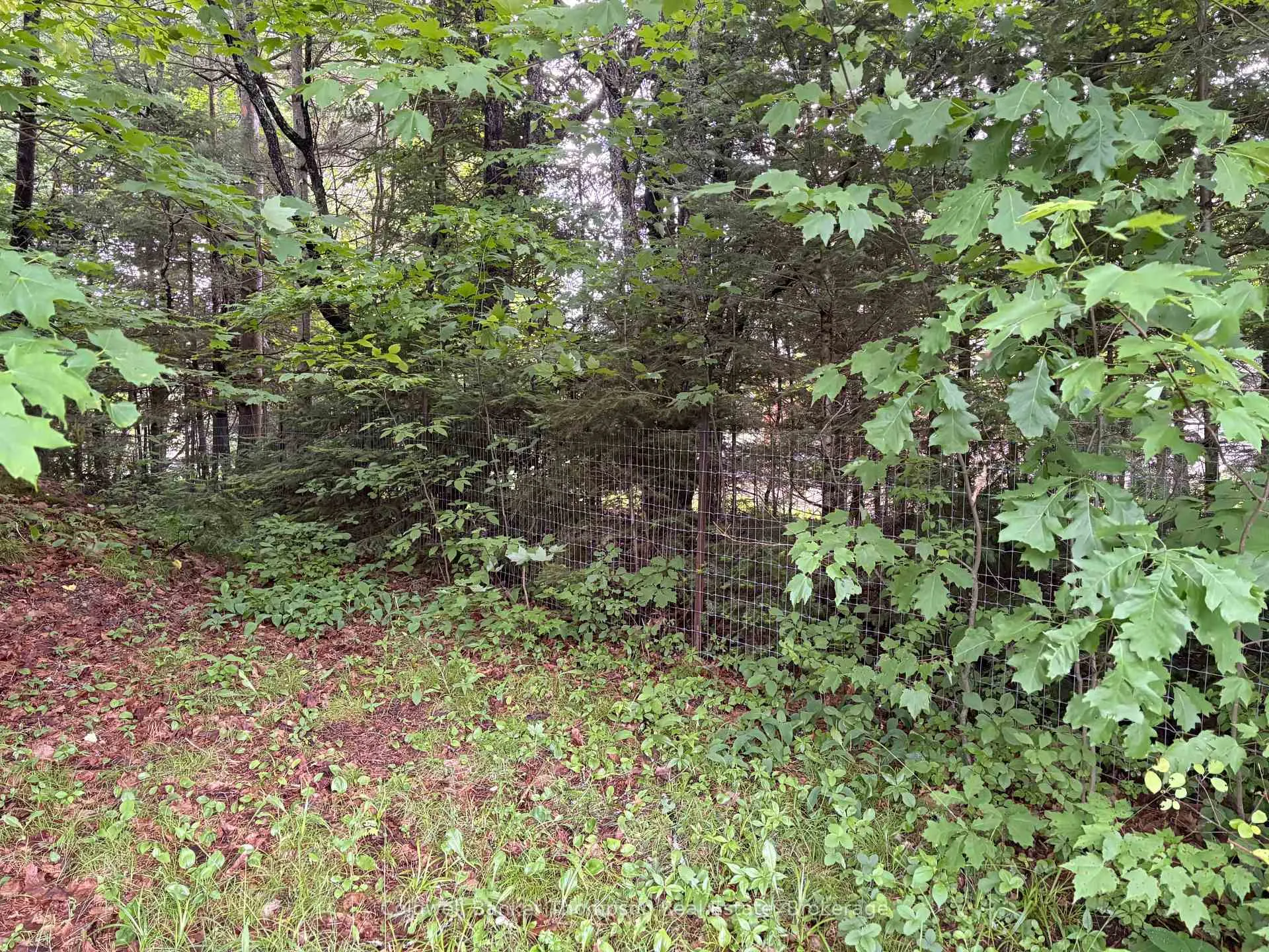 Photo 4 of 2197 Stisted Road S, McMurrich/Monteith, Sprucedale — HOMEH