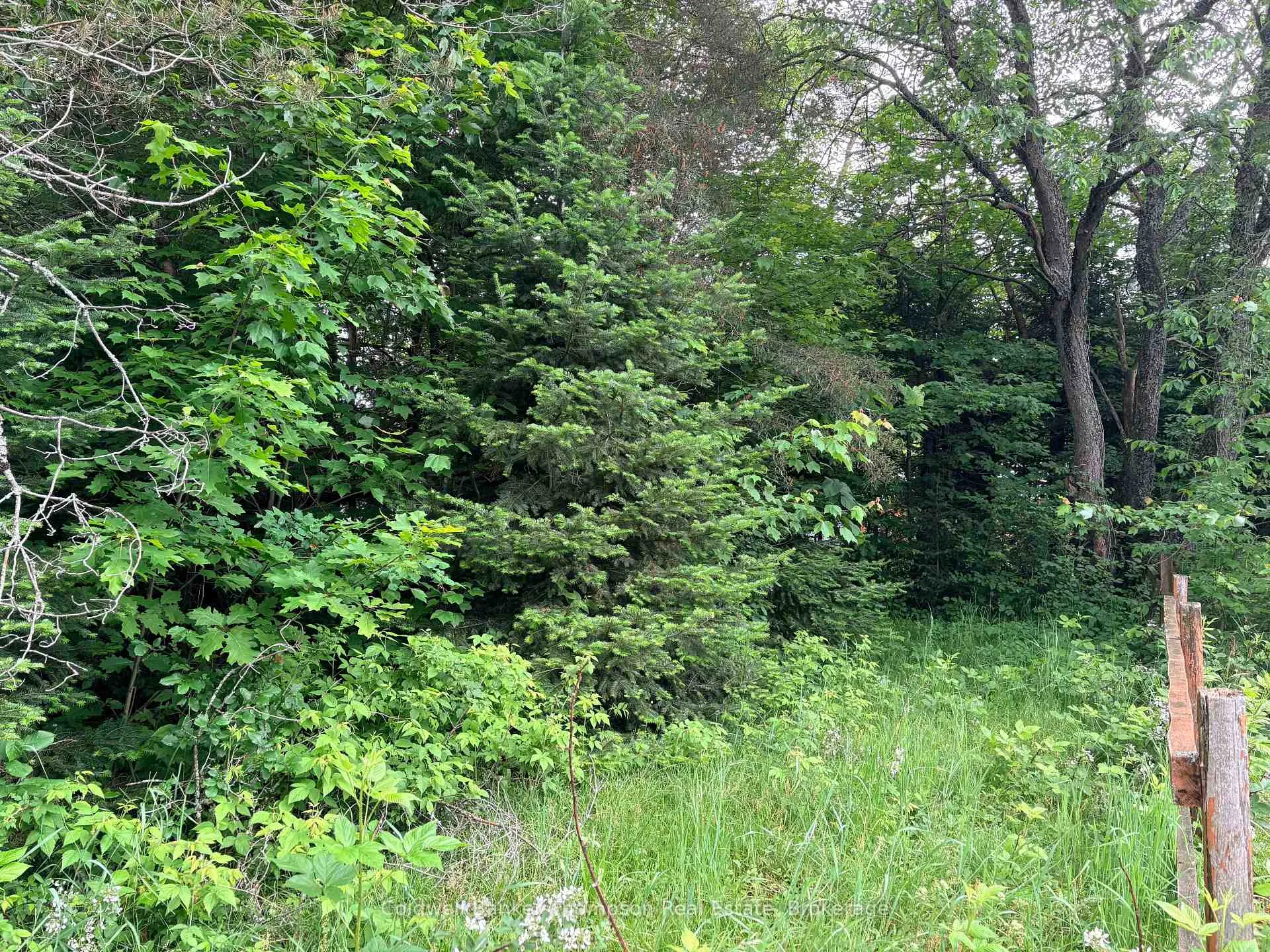 Photo 6 of 2197 Stisted Road S, McMurrich/Monteith, Sprucedale — HOMEH