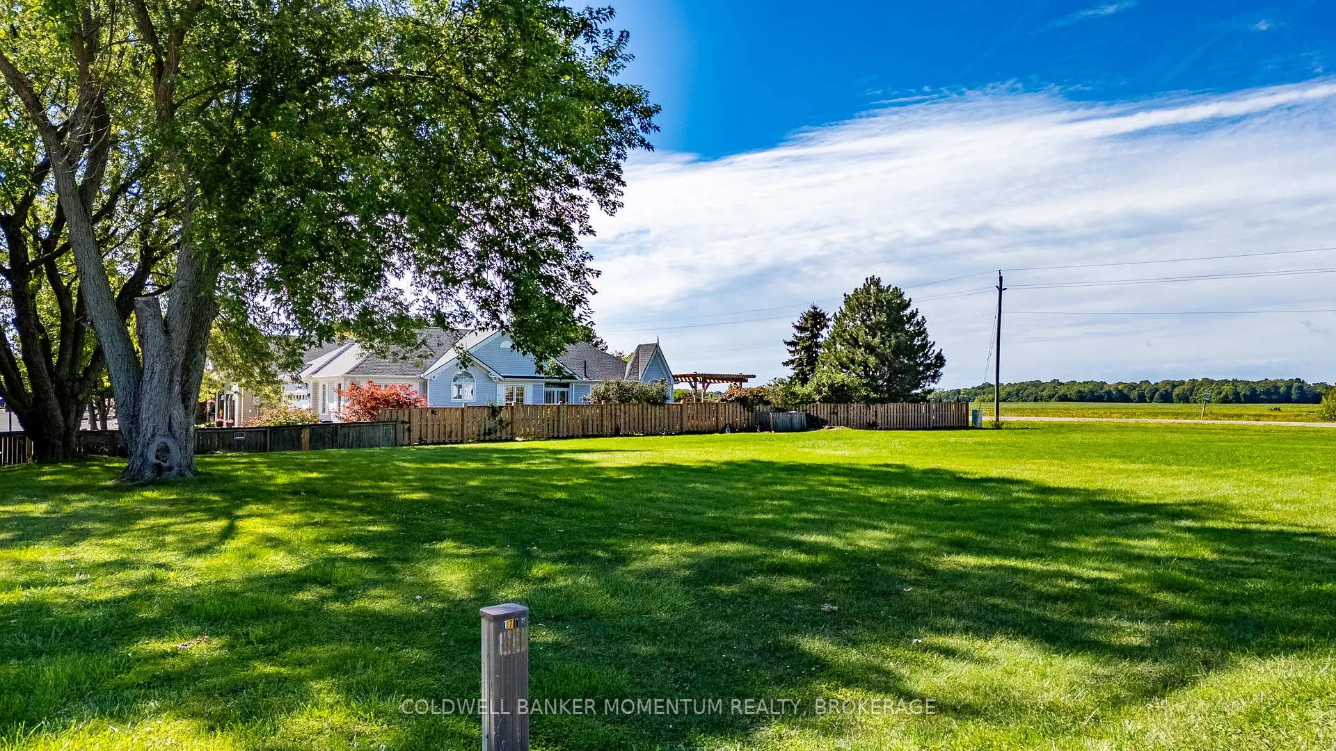 Photo of 1179 Bay Street