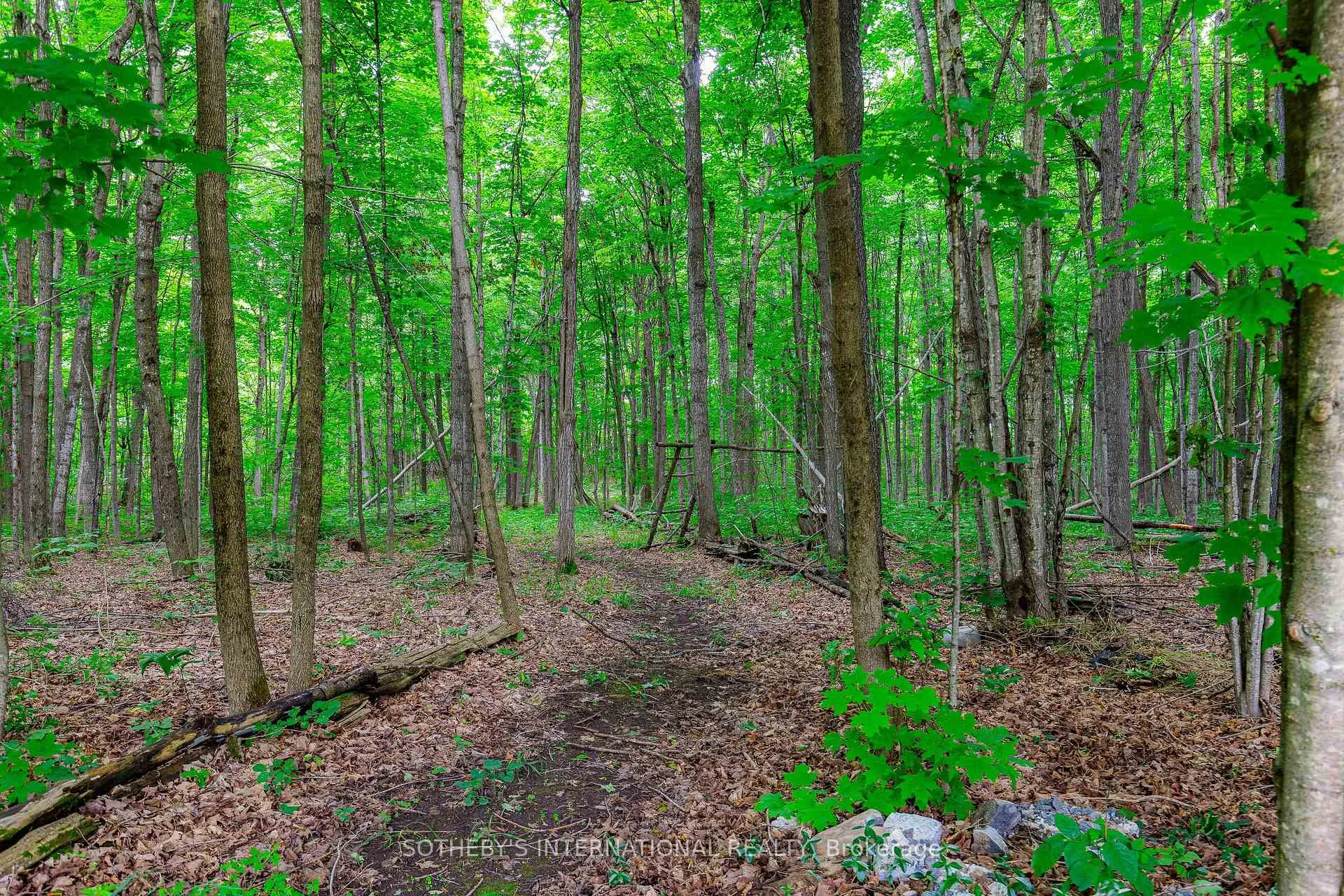 Photo 28 of 8690 Kyle Road, Augusta, Augusta Twp — HOMEH