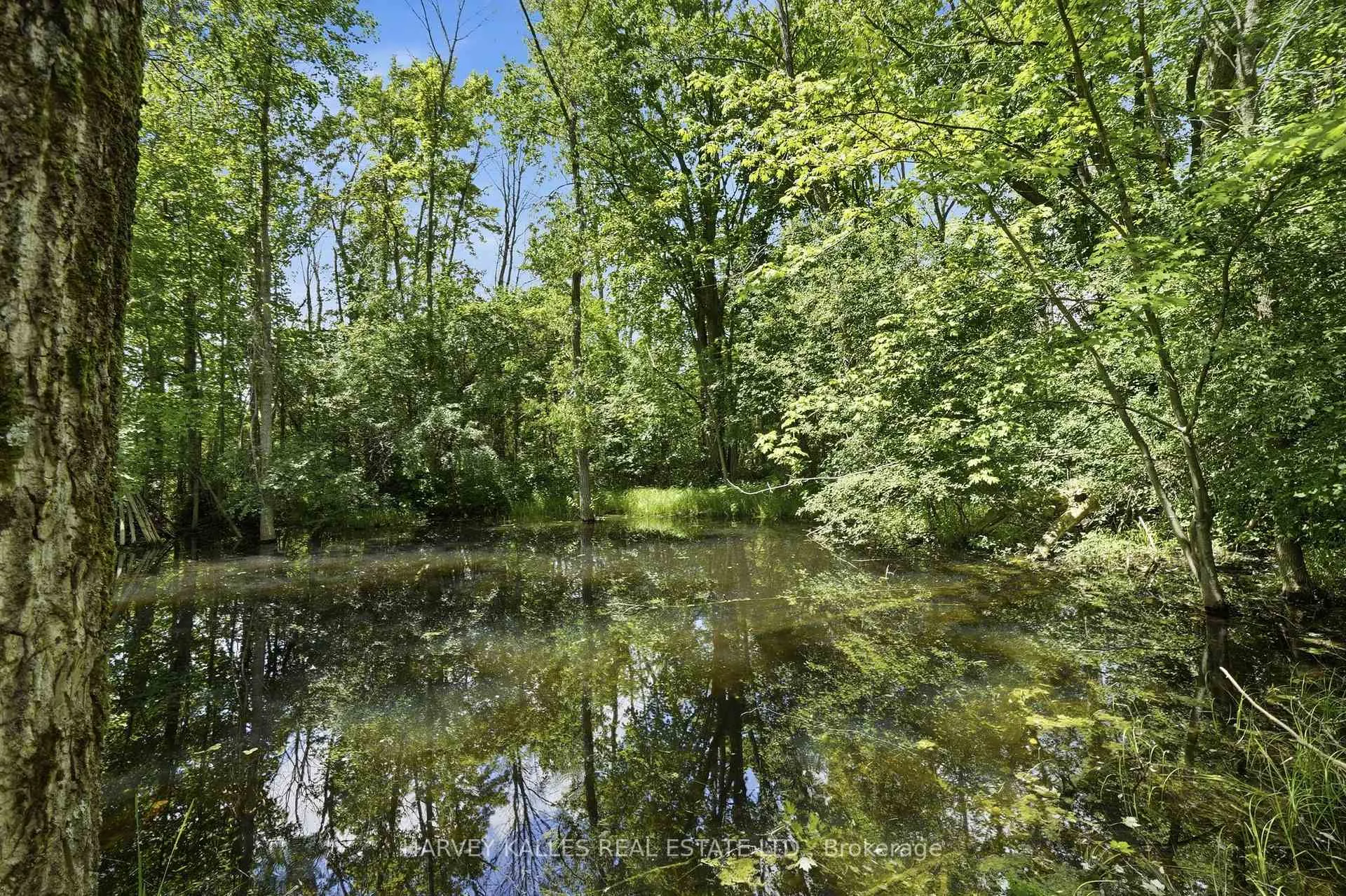 Photo 39 of 511 County Road 8, Prince Edward County, Hallowell Ward — HOMEH