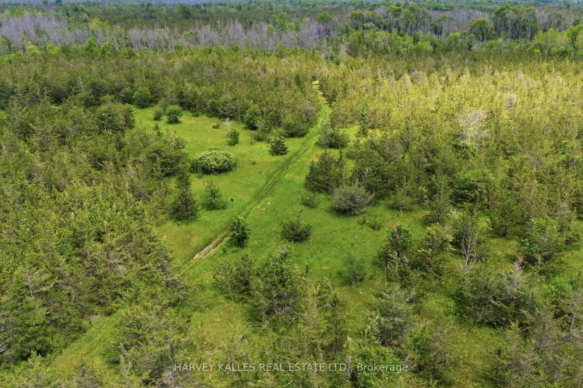 Photo 45 of 511 County Road 8, Prince Edward County, Hallowell Ward — HOMEH