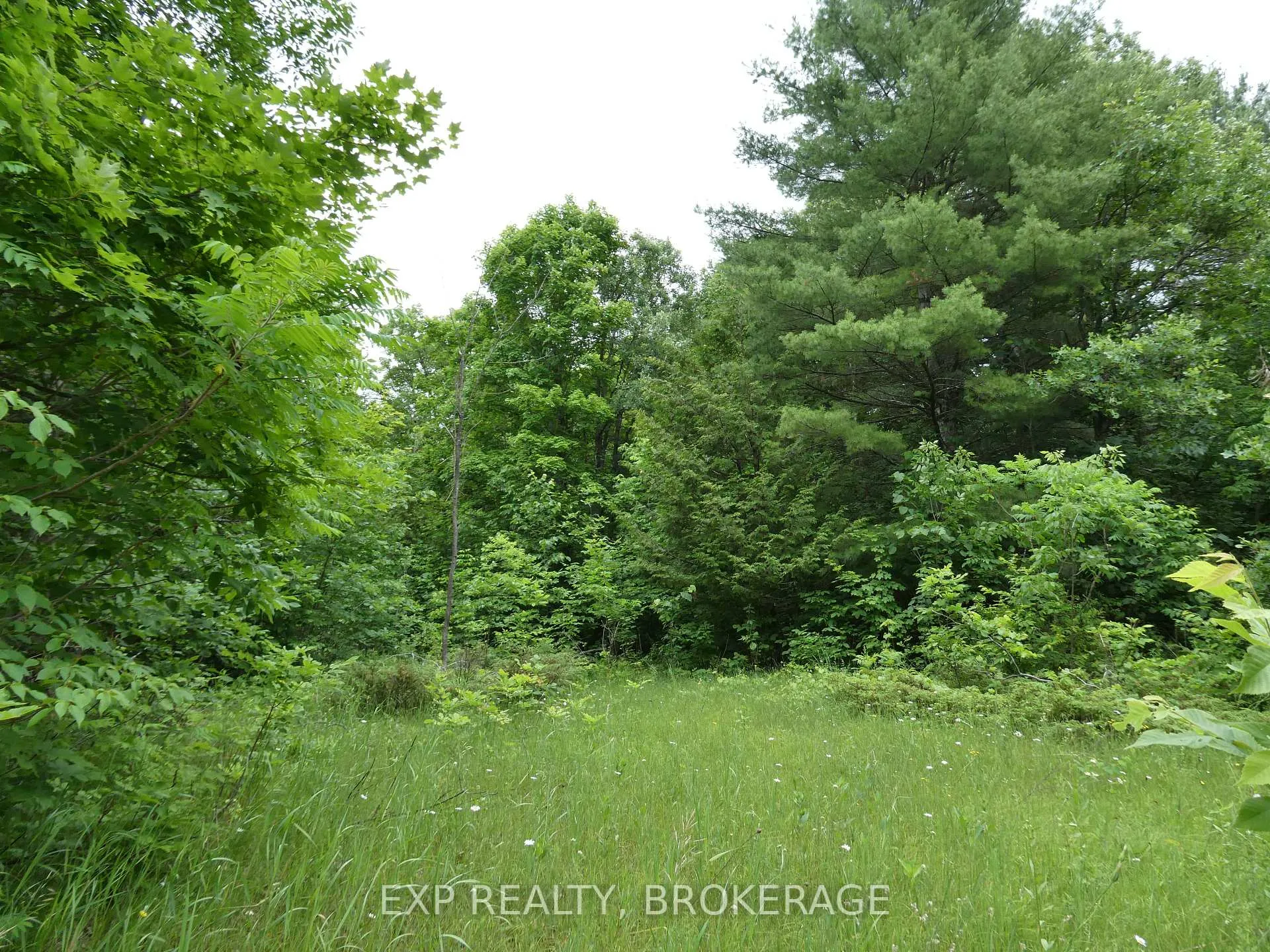 Photo 21 of 1881 Elm Tree Road, Frontenac, Frontenac Centre — HOMEH