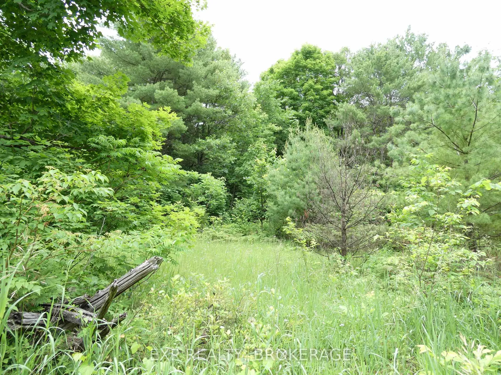 Photo 22 of 1881 Elm Tree Road, Frontenac, Frontenac Centre — HOMEH