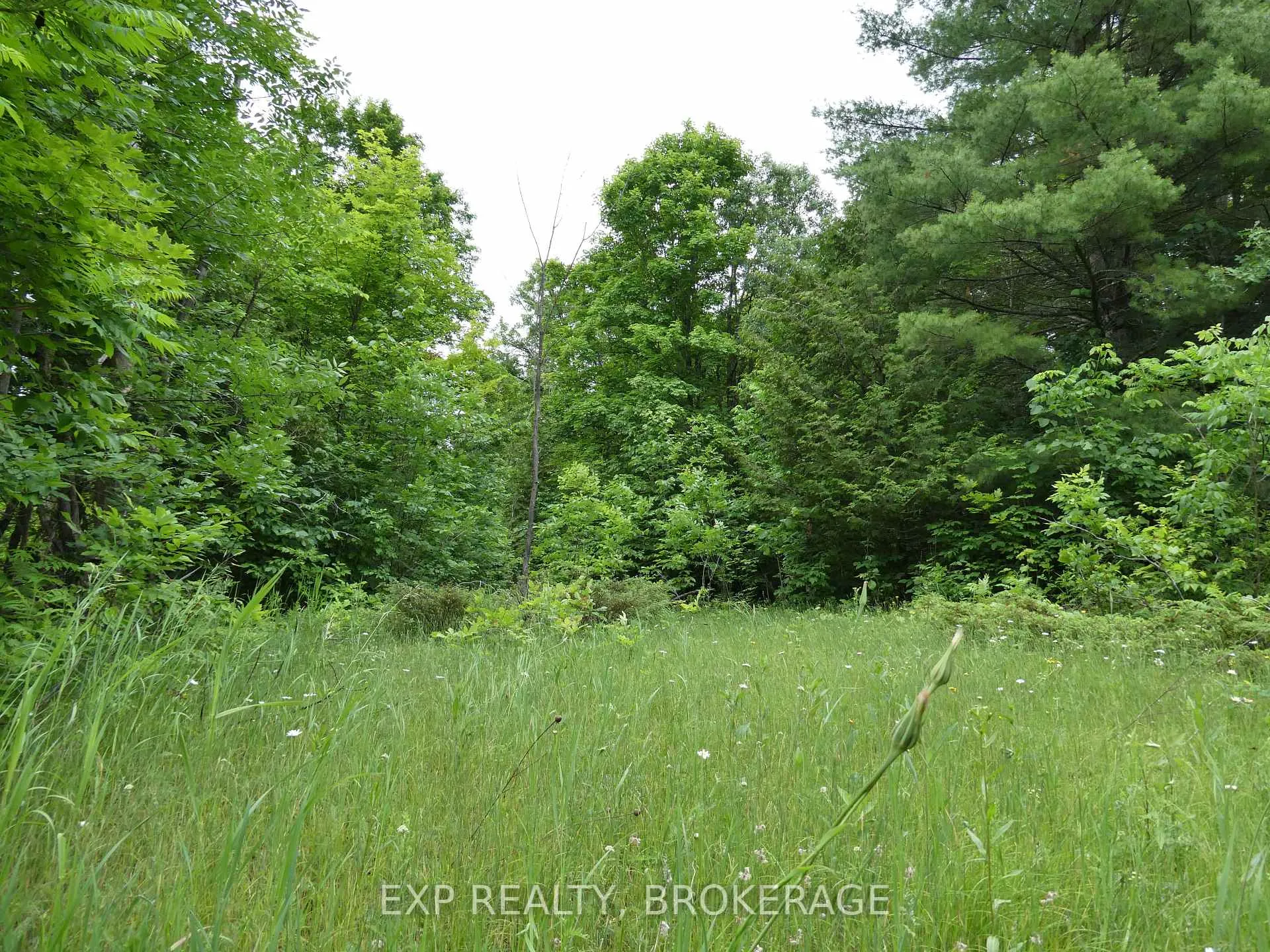 Photo 23 of 1881 Elm Tree Road, Frontenac, Frontenac Centre — HOMEH